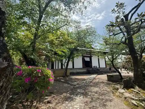 新薬師寺の{uncategorized: "未分類", other: "その他", undefined: "問題あり", building: "その他建物", grave: "お墓", sacred_gate: "鳥居", guardian: "狛犬", statue: "像", buddha: "仏像", history: "歴史", nature: "自然", garden: "庭園", animal: "動物", pagoda: "塔", temizu: "手水舎", mountain_gate: "山門・神門", sanctuary: "本殿・本堂", subordinate: "末社・摂社", art: "芸術", scenery: "景色", jizo: "地蔵", ema: "絵馬", goshuin: "御朱印", omikuji: "おみくじ", items: "授与品その他", amulet: "お守り", goshuincho: "御朱印帳", eats: "食事", festival: "お祭り", votive_dance: "神楽", shichigosan: "七五三参", wedding: "結婚式", experience: "体験その他", initially: "初詣", around: "周辺", anti_infection: "感染症対策"}