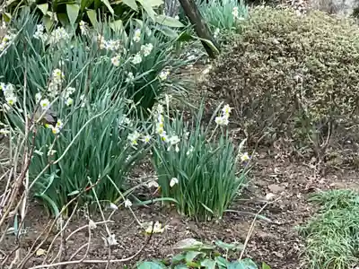 真福寺(神奈川県)