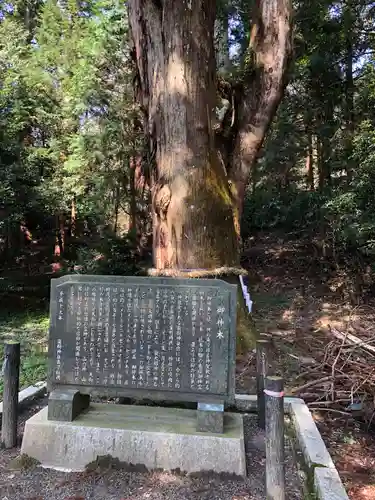 瀧樹神社の歴史