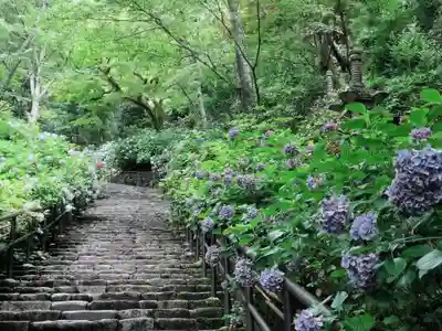 長谷寺(奈良県)