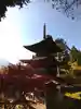 国宝 大法寺の塔