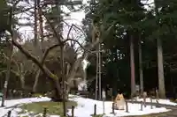 磐椅神社の自然