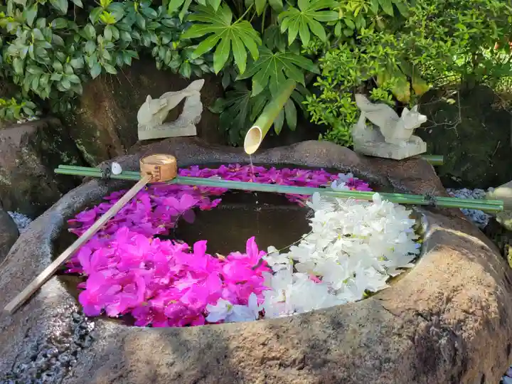 東京羽田 穴守稲荷神社(東京都)