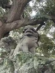 大綱金刀比羅神社の狛犬