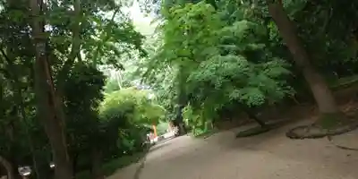 賀茂御祖神社（下鴨神社）(京都府)