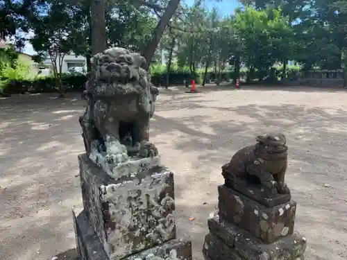 須賀神社の狛犬