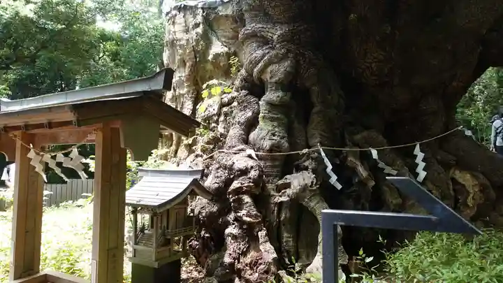 來宮神社(静岡県)