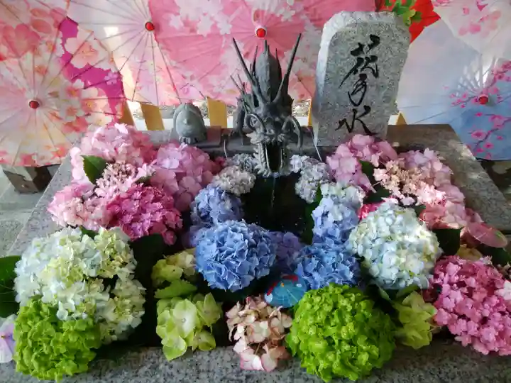 札幌諏訪神社の手水舎