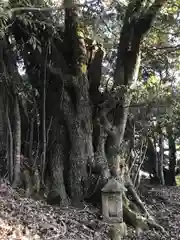 熊野神社の建物その他