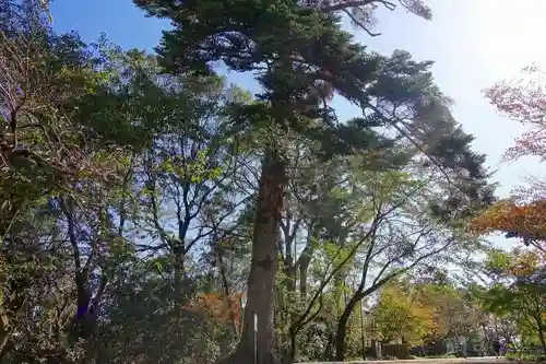 光明寺（粟生光明寺）のその他建物