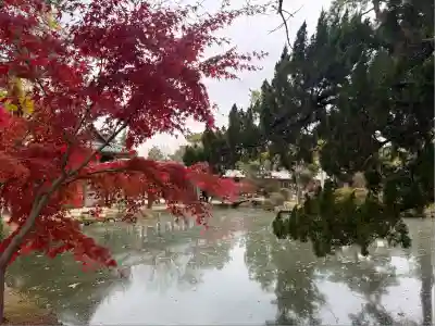 備中国總社(岡山県)