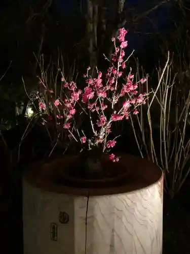 長谷寺の{uncategorized: "未分類", other: "その他", undefined: "問題あり", building: "その他建物", grave: "お墓", sacred_gate: "鳥居", guardian: "狛犬", statue: "像", buddha: "仏像", history: "歴史", nature: "自然", garden: "庭園", animal: "動物", pagoda: "塔", temizu: "手水舎", mountain_gate: "山門・神門", sanctuary: "本殿・本堂", subordinate: "末社・摂社", art: "芸術", scenery: "景色", jizo: "地蔵", ema: "絵馬", goshuin: "御朱印", omikuji: "おみくじ", items: "授与品その他", amulet: "お守り", goshuincho: "御朱印帳", eats: "食事", festival: "お祭り", votive_dance: "神楽", shichigosan: "七五三参", wedding: "結婚式", experience: "体験その他", initially: "初詣", around: "周辺", anti_infection: "感染症対策"}