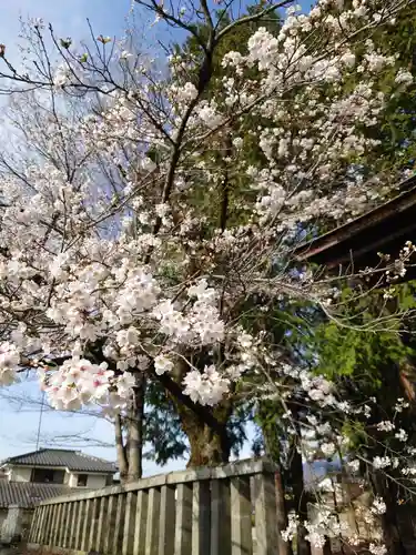 大井俣窪八幡神社(山梨県)