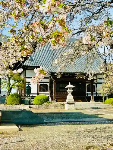 長明寺の{uncategorized: "未分類", other: "その他", undefined: "問題あり", building: "その他建物", grave: "お墓", sacred_gate: "鳥居", guardian: "狛犬", statue: "像", buddha: "仏像", history: "歴史", nature: "自然", garden: "庭園", animal: "動物", pagoda: "塔", temizu: "手水舎", mountain_gate: "山門・神門", sanctuary: "本殿・本堂", subordinate: "末社・摂社", art: "芸術", scenery: "景色", jizo: "地蔵", ema: "絵馬", goshuin: "御朱印", omikuji: "おみくじ", items: "授与品その他", amulet: "お守り", goshuincho: "御朱印帳", eats: "食事", festival: "お祭り", votive_dance: "神楽", shichigosan: "七五三参", wedding: "結婚式", experience: "体験その他", initially: "初詣", around: "周辺", anti_infection: "感染症対策"}