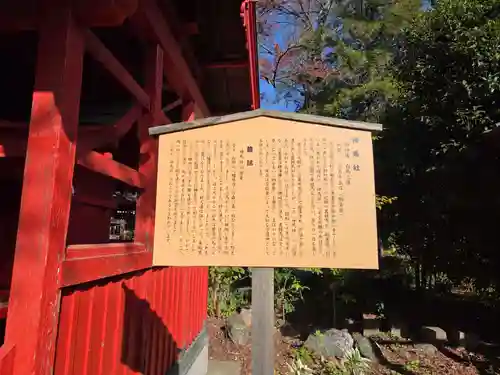 白岡八幡神社(埼玉県)
