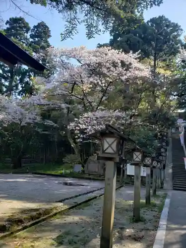 脇子八幡宮の自然