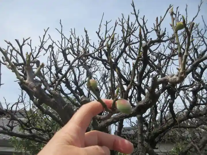 金剛院(東京都)