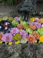 彌都加伎神社の手水