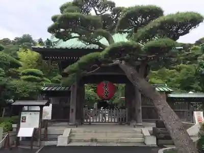 長谷寺の山門・神門