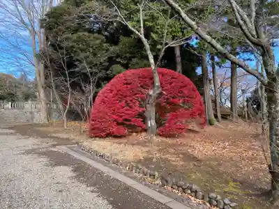 茨城縣護國神社のその他建物