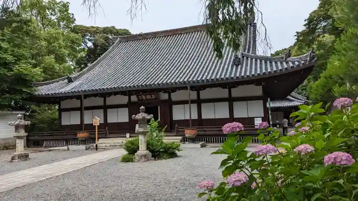 知恩院(京都府)
