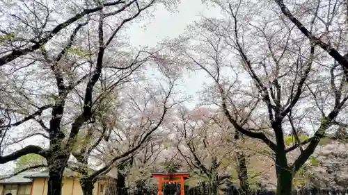 東蕗田天満社(茨城県)