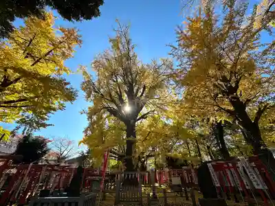 鬼子母神堂　(法明寺）(東京都)