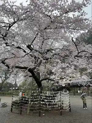 高麗神社(埼玉県)