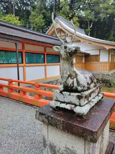 大原野神社の狛犬