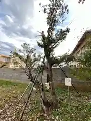 三ツ石神社(岩手県)