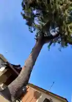 熊野神社(宮城県)