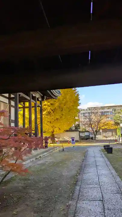 本法寺(京都府)