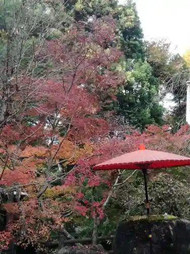 五所駒瀧神社の庭園