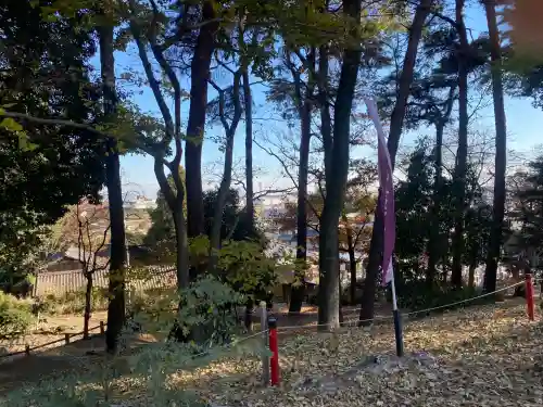 蓮神社(群馬県)
