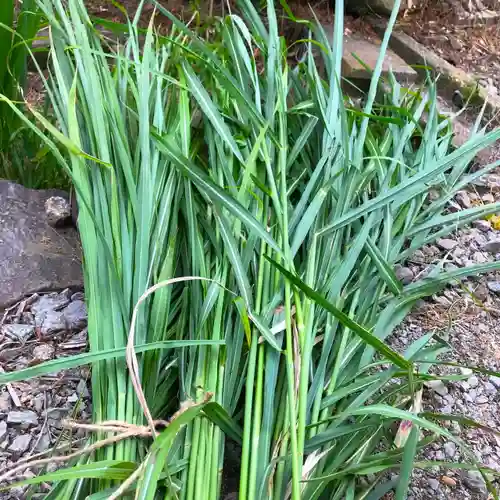 高司神社〜むすびの神の鎮まる社〜のお祭り