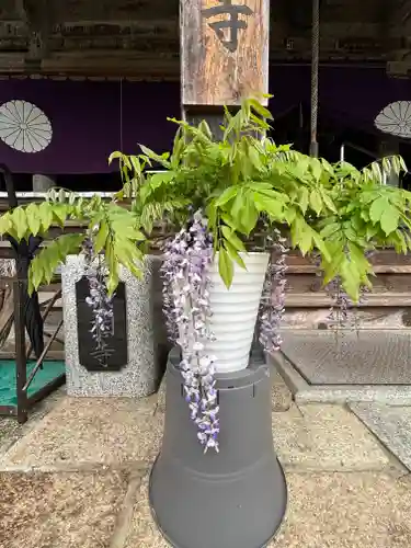 成相寺(京都府)