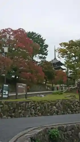 興福寺の建物その他