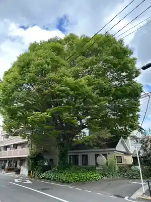 小野神社(東京都)