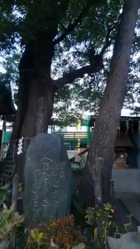 立石熊野神社の自然