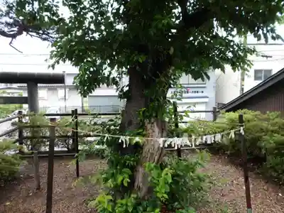 久慈大神宮のその他建物