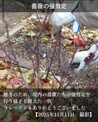 宝光寺(北海道)