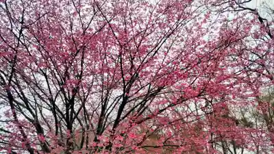 密藏院(埼玉県)