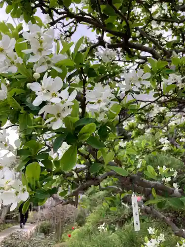 大巧寺(神奈川県)