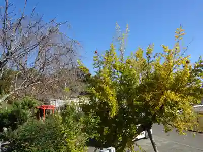 伊勢原 法泉寺(神奈川県)