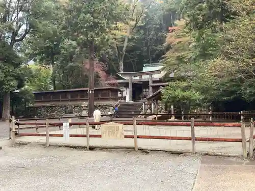 丹生川上神社（下社）の本殿