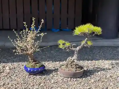 高円寺氷川神社(東京都)