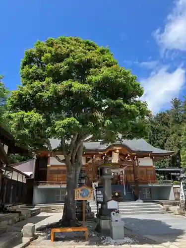 烏帽子山八幡宮(山形県)