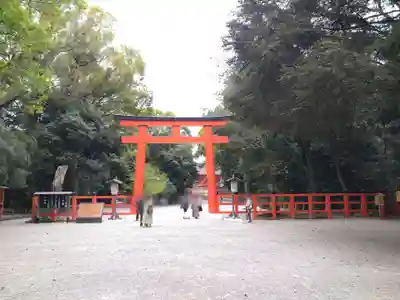 賀茂御祖神社(下鴨神社)の鳥居