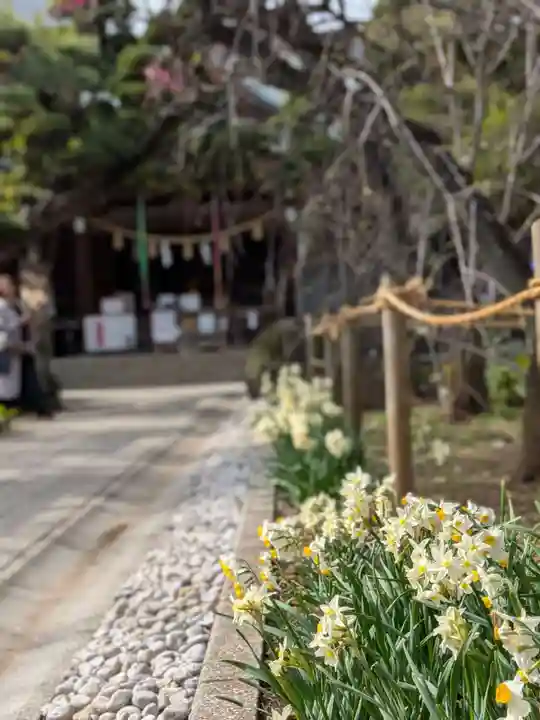 鳩森八幡神社(東京都)