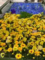 住吉神社の手水舎